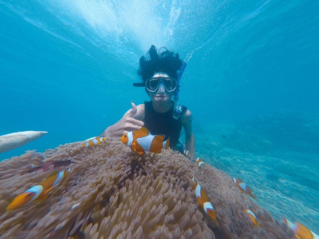 snorkelling with nemo