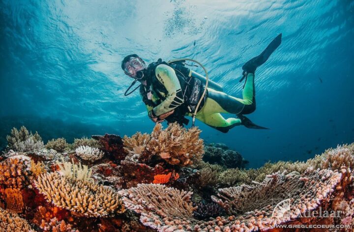 Exploring the Wonders of Underwater World Nusa Penida Snorkelling